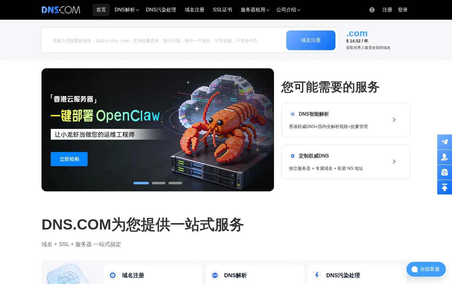 DNS.COM 页面快照